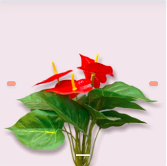 Ramo de flores