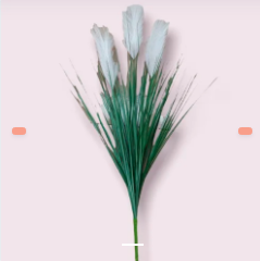Flores