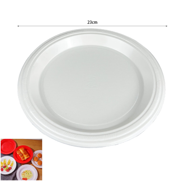 PLATO PLASTICO