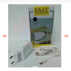 CARGADOR RAPIDO