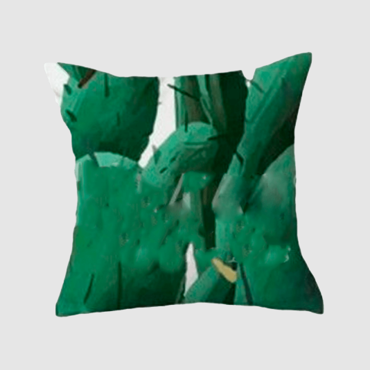 COJIN DECORATIVO 