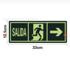 SEÑAL DE SALIDA LUMINOSA