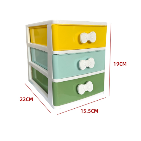 ORGANIZADOR 
