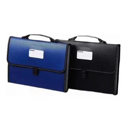 carpeta de bolsa de organos